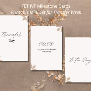 Cartes d'étape du transfert d'embryons congelés | FIV FET imprimable | 13 cartes numériques pour TTC et soutien à la fertilité