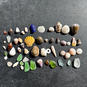 Puede incluir: Una colección de conchas marinas y piezas de vidrio marino de diversas formas, tamaños y colores, incluyendo blanco, marrón, amarillo, verde y azul. Los objetos están dispuestos en un patrón suelto y disperso sobre una superficie oscura y texturizada.