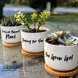 May include: Three white ceramic plant pots with black lettering. The pots are on a wooden table. The first pot says "Emotional Support Plant", the second pot says "Rooting for You", and the third pot says "You Grow Girl".