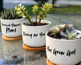 Cute Succulent Pot - Small Planter - Gift - Ceramic Pot with Drainage - Gifts For Her - Mothers Day - Plant Lover Gifts - Plant Mom