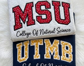 Embroidered Custom College Appliqué Sweatshirt, Personalized Gingham University Crewneck, Floral College Apparel, Varsity Cheer Team Shirt