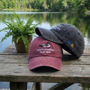 May include: Two baseball caps rest on a wooden surface. One is burgundy with the text "stupid canadian wolf bird" and a loon graphic. The other is gray with the text "canadian bird" and the numbers "24 81". A potted fern is in the background.