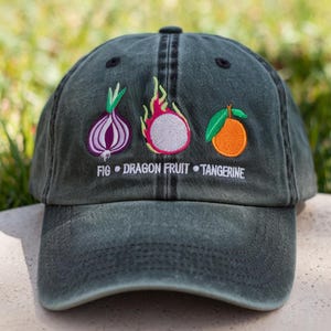 Embroidered Funny Subtle Anti Trump Embroidered Hat, Political Protest Resist Baseball Cap, Embroidered FDT Hat, Liberal Democrat Gifts