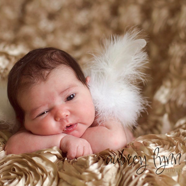 Sprouts ... Tiny Angel newborn wings for infant portraits and professional photography and photo prop ...  gift packaging