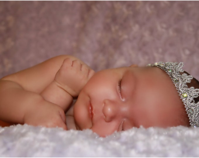 Lay Me Down on a Bed of Roses . Posh Roses Blanket and Silver Princess Tiaraportrait in a