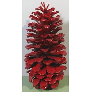 May include: A large red pine cone with a glossy finish. The cone is made of natural wood and has a unique shape.