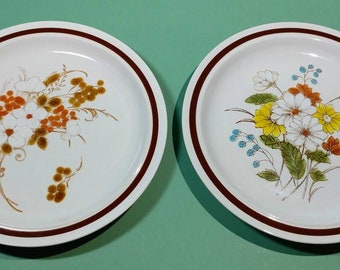 2, 10.5" 1970s Dinnerware Plates FOUR SEASONS Collection Fine Imported Stoneware "Autumn Bouquet & Early Summer" Patterns Replacement Dishes