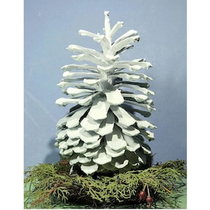 Puede incluir: Un cono de pino pintado de blanco, que se asemeja a un árbol de Navidad, se sienta sobre un lecho de follaje verde.