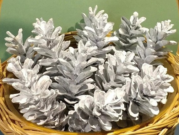 Large White Pinecone for Crafts Holiday Decor Ready to Hang 