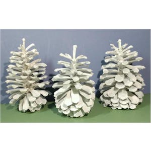 May include: Three white painted pine cones. The cones are a natural shape with overlapping scales, and are painted in a solid white colour. The background is a solid blue and green.