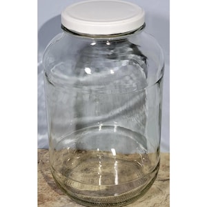 10&quot;T One Gallon Clear Glass Jar White Metal Screw-on Rubber Seal Cap Wide Mouth Household Pantry Pickling Terrarium Sewing Notions Glassware