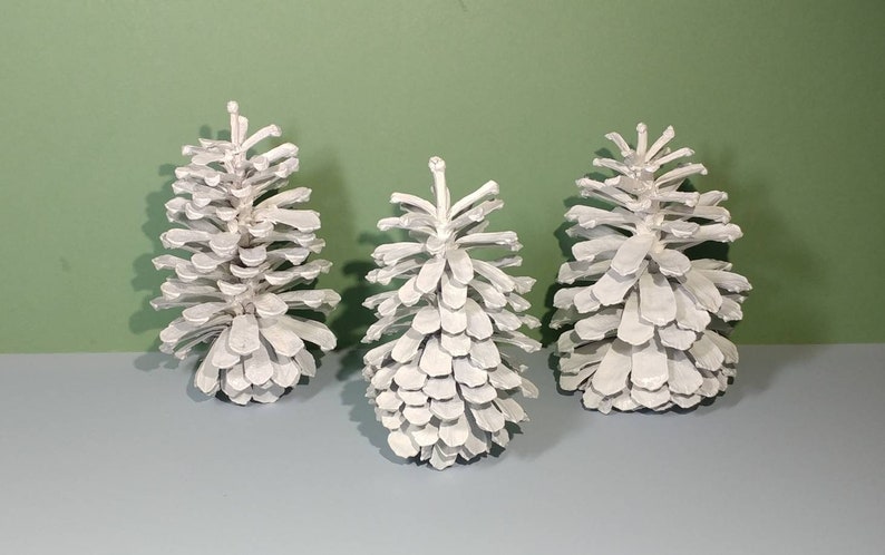 6-7 Natural Long Leaf White Pine Cones Handpainted Winter Woodland Ornamental Wedding Upcycle Decoration Basket Mantel Eco Decor Display 3