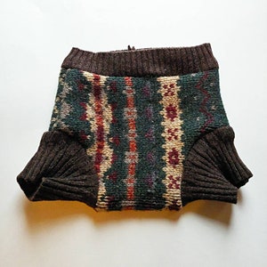 Puede incluir: Un suéter de perro tejido en tonos de verde, marrón, rojo y crema. El suéter presenta un cuello y puños marrones acanalados, con un diseño estampado en el cuerpo. El diseño incluye rayas verticales y motivos florales.