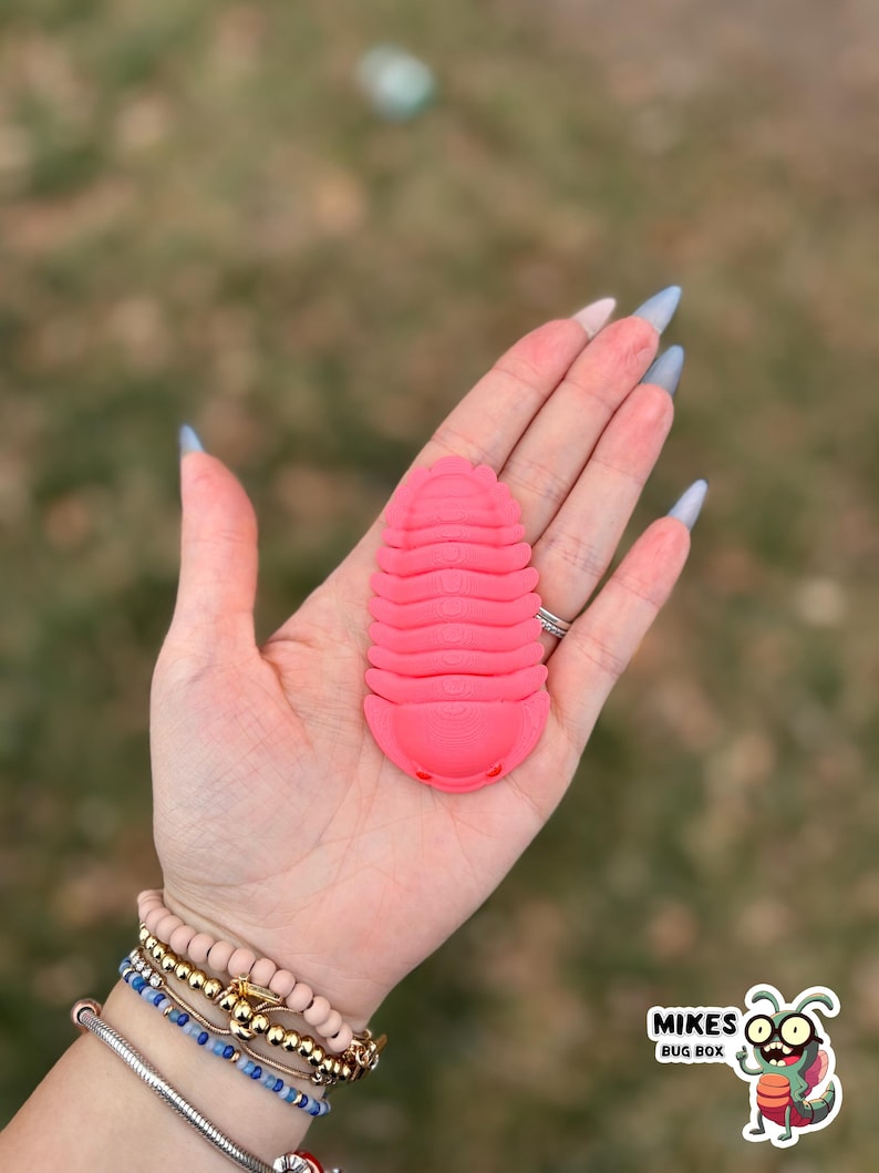 May include: A bright pink, 3D-printed trilobite model. The model is held in a hand with long, pointed nails. The image includes a logo for "Mikes Bug Box" in the bottom right corner.