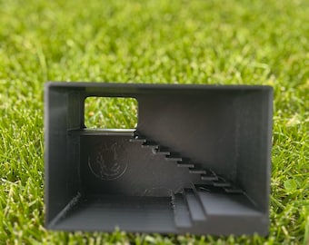 In-Ground Reptile Hide with Built-In Stairs / Gecko