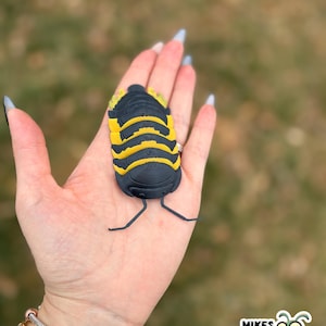 May include: A black and yellow bug-shaped object with a segmented body and antennae is held in an open hand. The bug has yellow stripes and a textured appearance. The background is blurred, with a logo in the bottom right corner that says "MIKES BUG BOX".