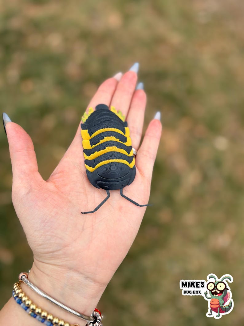 May include: A black and yellow bug-shaped object with a segmented body and antennae is held in an open hand. The bug has yellow stripes and a textured appearance. The background is blurred, with a logo in the bottom right corner that says "MIKES BUG BOX".