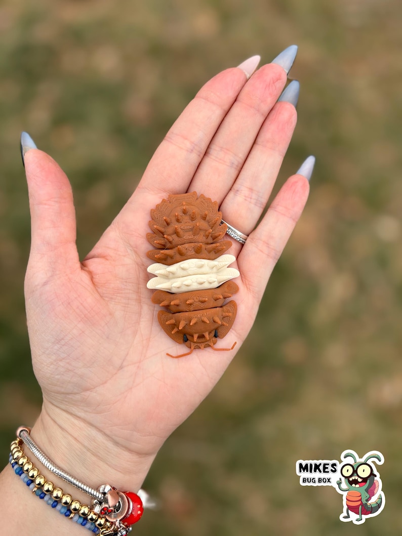 May include: A brown and cream-colored insect-shaped object with a textured surface is held in a hand. The object has a segmented body and small antennae. The image includes the text "MIKES BUG BOX" and a cartoon bug.
