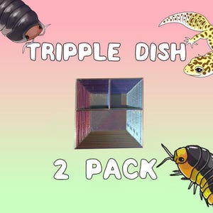 Potrójna miska na jedzenie/wodę dla Isopod | Miska na wapń Gecko | 2 OPAKOWANIA