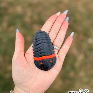 May include: A black and orange trilobite-shaped object with a segmented body and a rounded head. The object is held in a hand with long, light-colored nails. The object has the text "MIKES BUG BOX" on the bottom right.