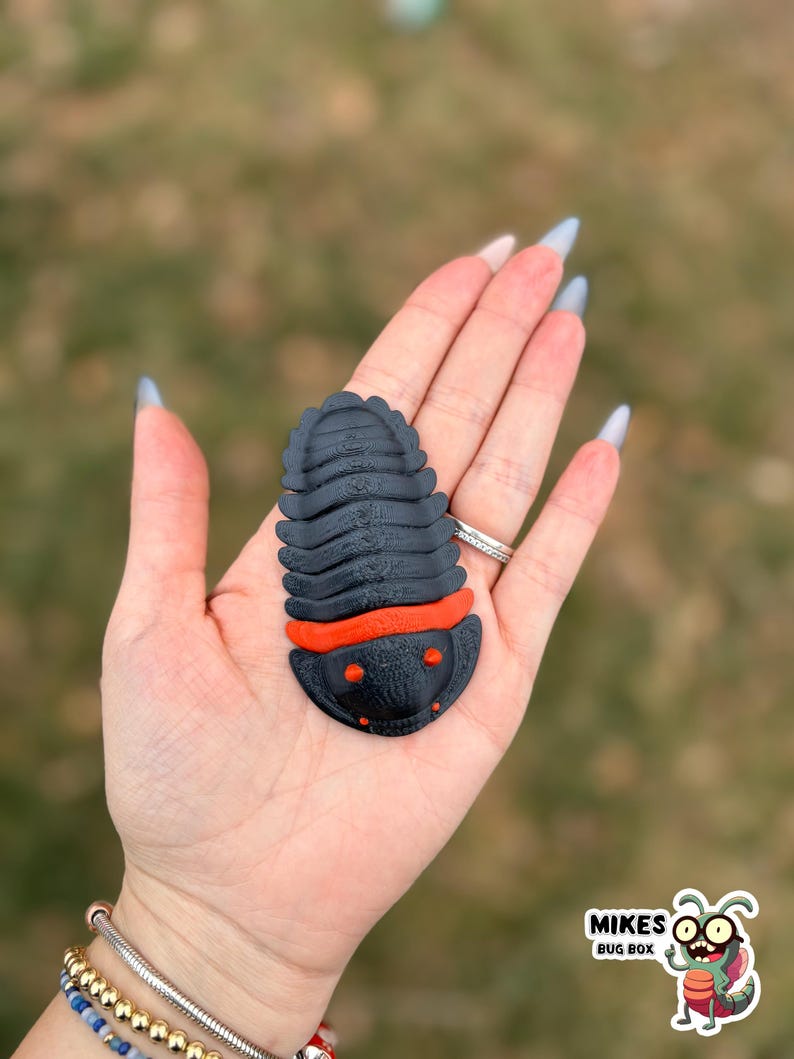 May include: A black and orange trilobite-shaped object with a segmented body and a rounded head. The object is held in a hand with long, light-colored nails. The object has the text "MIKES BUG BOX" on the bottom right.