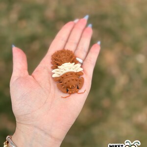 May include: Brown and cream-colored bug-shaped decorative items. The items are held in a hand. The bug-shaped items have a textured appearance. The image includes the text "MIKES BUG BOX" and a cartoon bug.