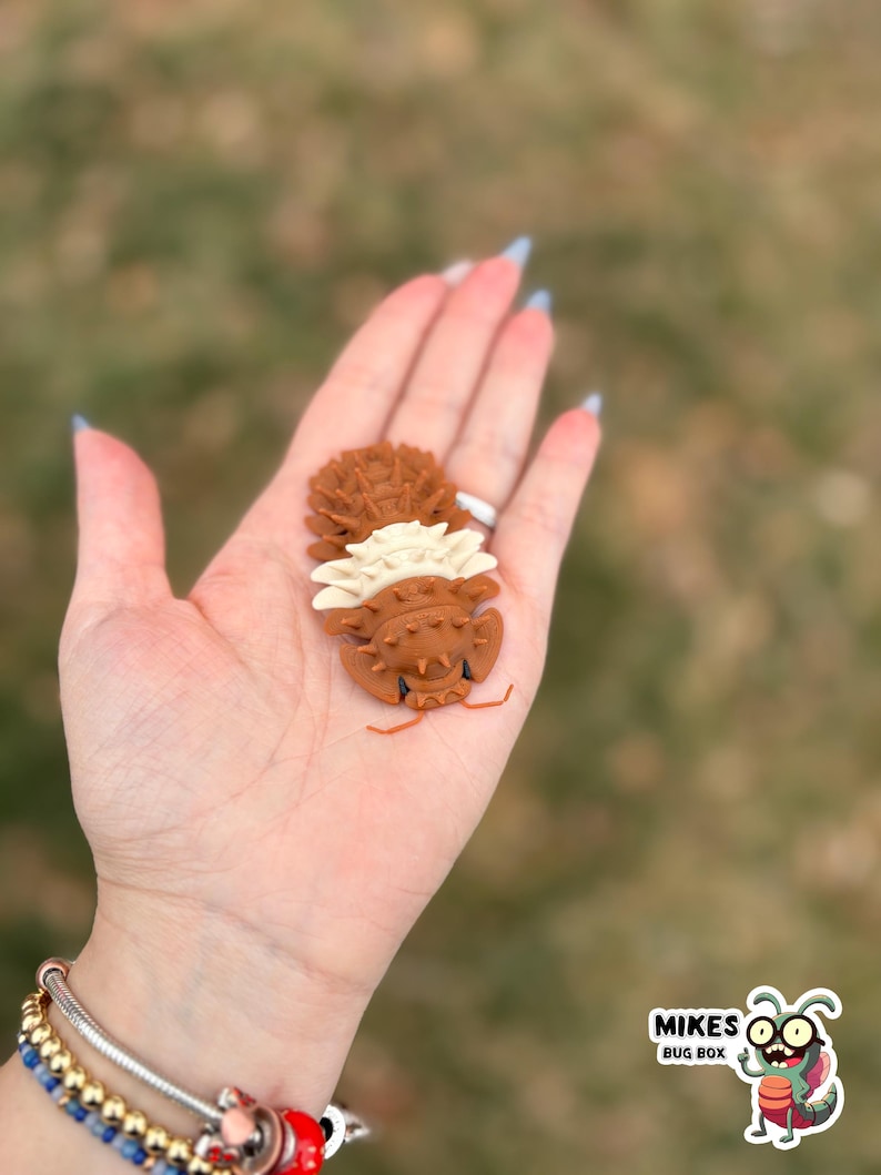 May include: Brown and cream-colored bug-shaped decorative items. The items are held in a hand. The bug-shaped items have a textured appearance. The image includes the text "MIKES BUG BOX" and a cartoon bug.