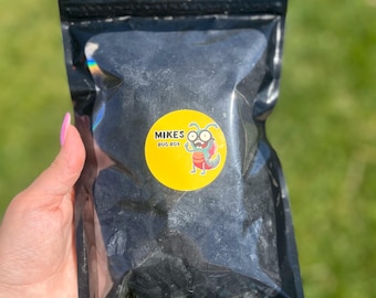 Natural Lump Charcoal – Purifying Habitat Support for Isopods & Springtails