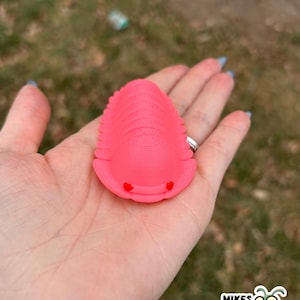 May include: A bright pink, 3D-printed trilobite model with two small red dots. The model is held in a hand against a blurred outdoor background. The image includes a logo that says "MIKES BUG BOX".