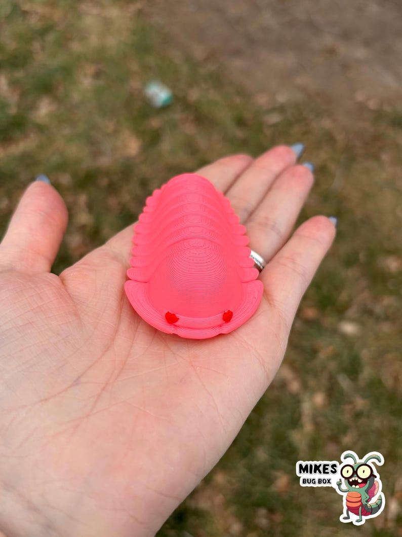 May include: A bright pink, 3D-printed trilobite model with two small red dots. The model is held in a hand against a blurred outdoor background. The image includes a logo that says "MIKES BUG BOX".