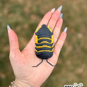 May include: A black and yellow isopod bug figurine with a segmented body and small legs. The figurine is held in a hand against a blurred green background. The figurine has a detailed design and is a unique decorative item.