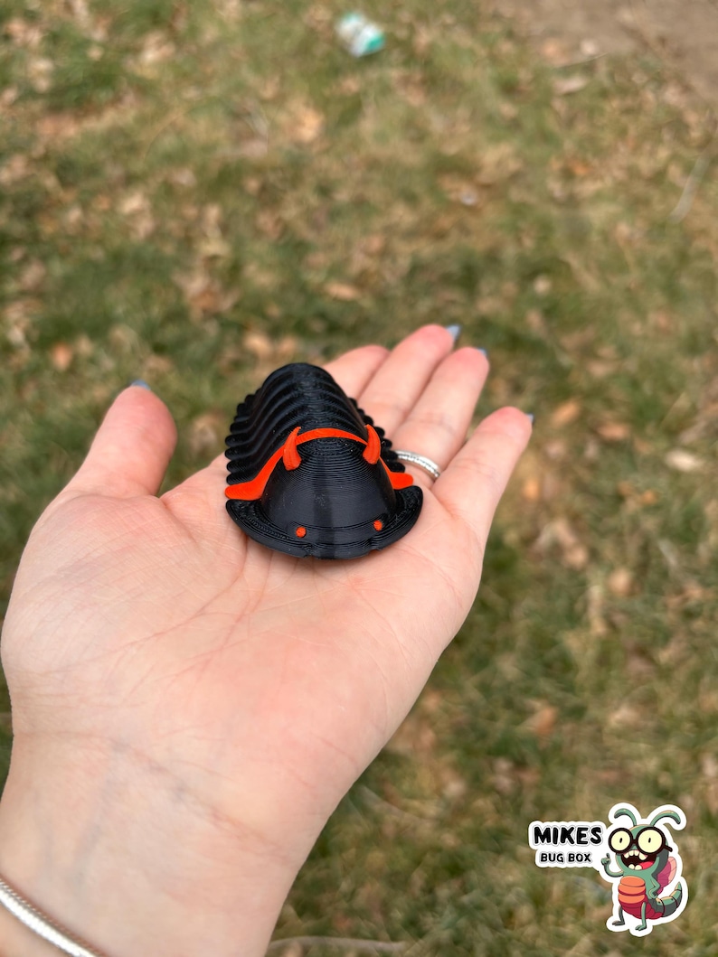 May include: A black and orange 3D-printed trilobite model. The model is held in a hand against a blurred background of grass. The trilobite has a segmented body with orange accents. The image includes the "MIKES BUG BOX" logo.