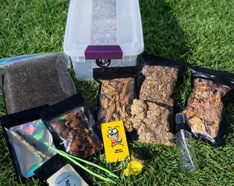 Kit inicial de isópode/milípede de Mike