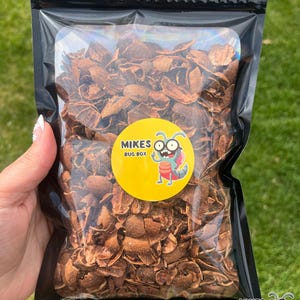 May include: A black resealable bag filled with brown, dried, and broken insect shells. The bag has a white label with the text "Mikes Bug Box" and a cartoon bug illustration.