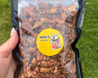 Isopod Pecan Shells