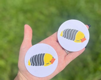 Rubber Ducky Isopod Car Coaster