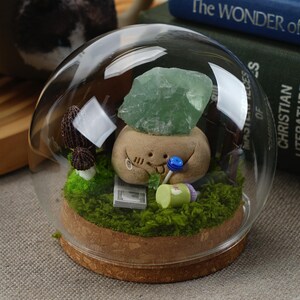 Könnte beinhalten: Ein Glaskuppel-Terrarium mit einer kleinen, braunen Keramikfigur, die mit einem grünen Edelstein verziert ist. Die Figur hat ein bemaltes Gesicht mit einem Lächeln und einen blauen Lutscher im Mund. Das Terrarium enthält außerdem grünes Moos, kleine Pilze und eine kleine, grüne Plastikflasche.