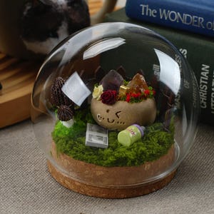 Könnte beinhalten: Ein Glas-Terrarium mit Kuppel, in dem sich eine kleine, braune Keramikfigur mit einem lächelnden Gesicht befindet. Die Figur ist von grünem Moos, kleinen Pflanzen und Kristallen umgeben. Die Kuppel steht auf einem Holzsockel.