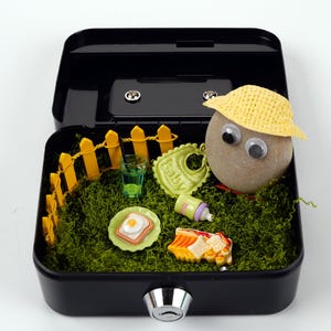 Rocky Pet Stone Pet z certyfikatem adopcji, DIY Desk Pet Buddy z zestawem piknikowym Mini Cool Black Box, prezent dla zwierząt domowych łagodzący lęk