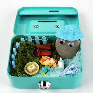 Rocky Pet Stone Pet with Adoption Certificate, DIY Desk Pet Buddy Mini Picnic Set Candy Turquoise Box, Anxiety Relief Carry Around Pet Gift