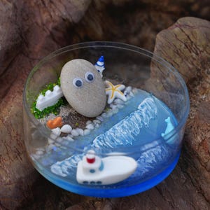 Rocky Pet - Set de piedras para llevar en la playa que brillan en la oscuridad, caja de acrílico, tarjeta de adopción, regalo decorativo para aliviar el estrés