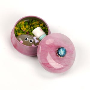 Kit de Pedra do Zodíaco Rocky Pet - Mini Alívio do Estresse Portátil/de Mesa, D 4,5 cm A 2,2 cm, 99 g, Cartão de Adoção, Cor/Design Aleatórios