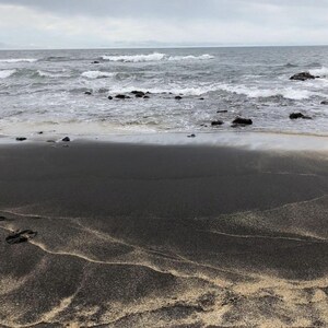 Hawaiian Black Sand Beach Wall Art