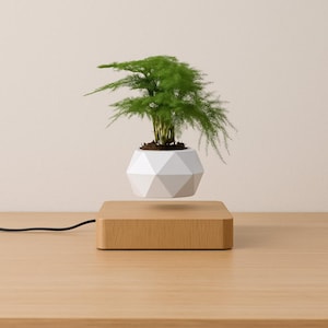 May include: A levitating planter with a geometric white pot holding a green plant. The pot hovers above a wooden base. A black cord extends from the base. The plant has feathery, green foliage.