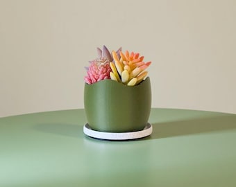 Magnetic Succulent Planter – 3 Inch Mini Pots with Drainage & Tray | Minimalist Plant Decor | Unique Gift for Plant Lovers