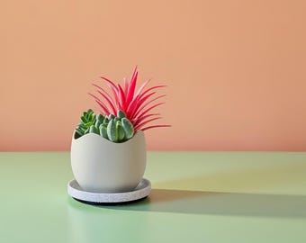 Magnetic Succulent Planter – 2 Inch Mini Pots with Drainage & Tray | Minimalist Plant Decor | Unique Gift for Plant Lovers