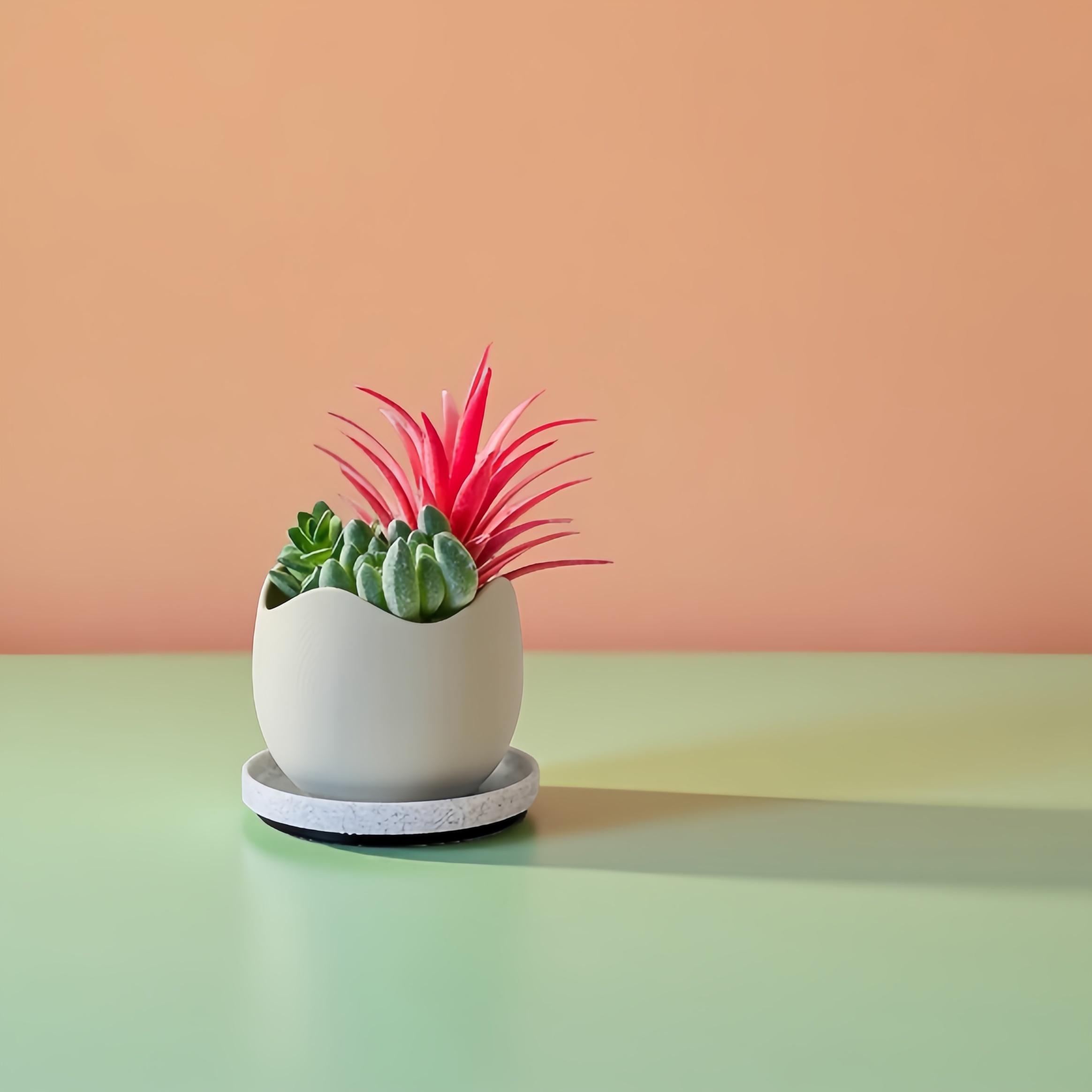 Magnetic Succulent Planter – 2 Inch Mini Pots with Drainage & Tray | Minimalist Plant Decor | Unique Gift for Plant Lovers