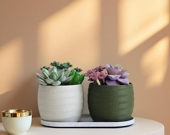 Textured Succulent Planter Set of 2 with Tray – 3‑Inch Mini Pots, Modern Home & Kitchen Décor Gift for Her