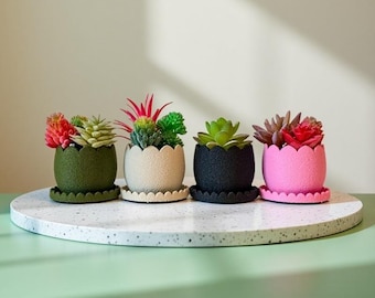 Magnetic Scalloped Succulent Planter – 2 Inch Mini Pot with Drainage & Tray | Wavy Textured Design | Cute Gift for Plant Lovers