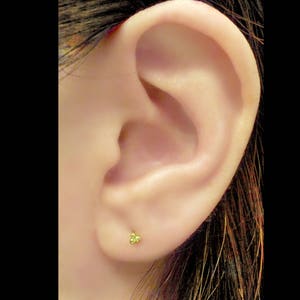 May include: A close-up of a person's ear with a small gold stud earring. The earring has three tiny gold balls.